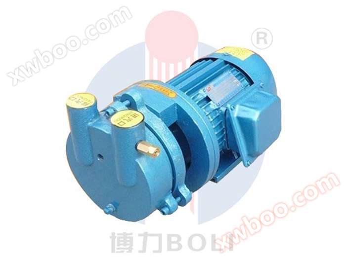 SK-0.15, 0.4, 0.8, 1.5B cantilever water ring vacuum pump
