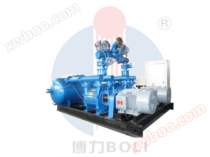 JZJ2S series Roots water ring vacuum unit