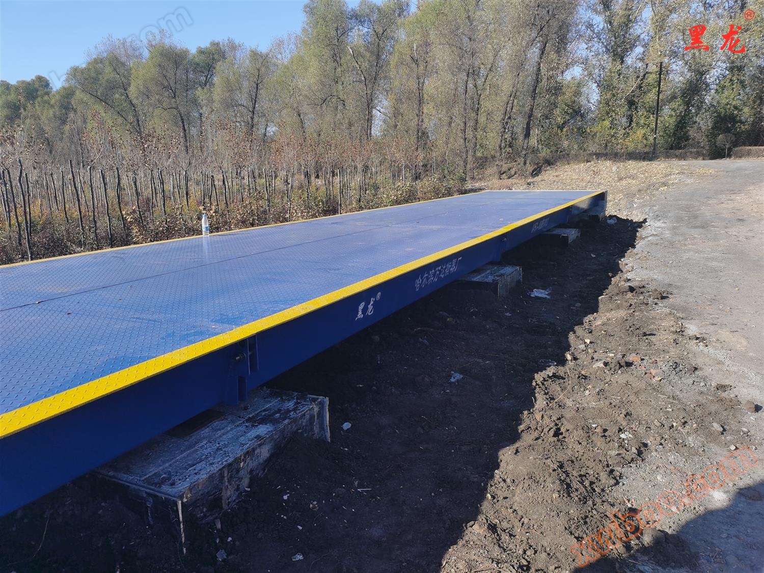 Pattern board IoT car scale